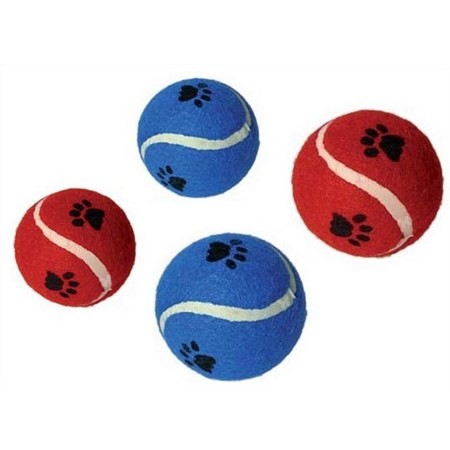 Jouet Balle Tennis Pour Chien