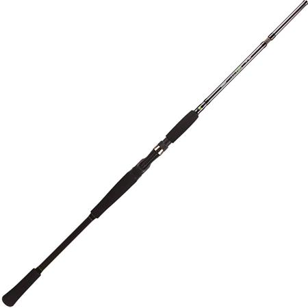 Καλάμι Casting Bft Raptor G2 Swimbait