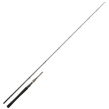 Καλάμι Casting Daiwa Exceler Casting 1+1