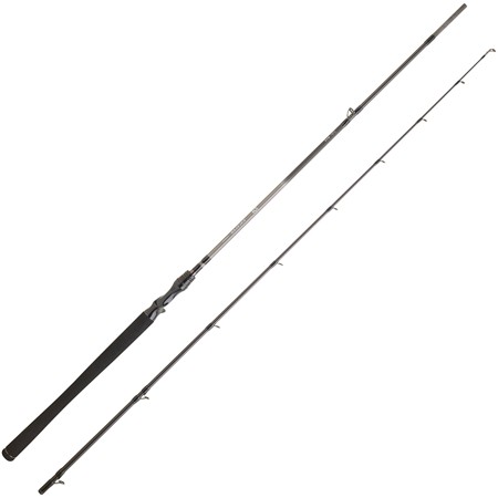 Καλάμι Casting Daiwa Exceler Casting
