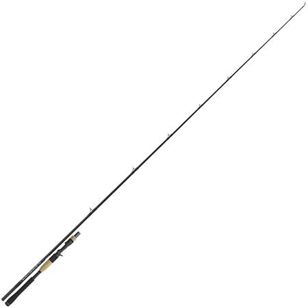 Καλάμι Casting Tenryu Injection Bc 73 H Pike Special