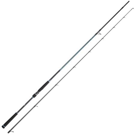Καλάμι Daiwa Caldia Seabass