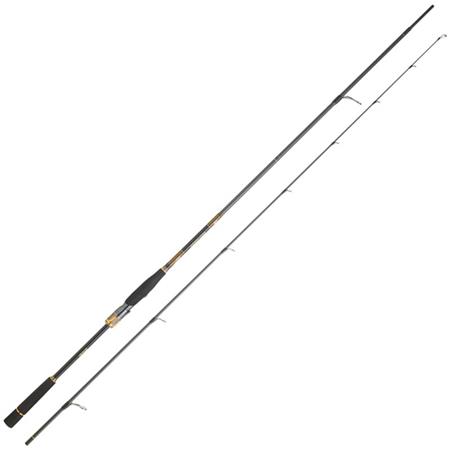 Καλάμι Daiwa Morethan Branzino Expert