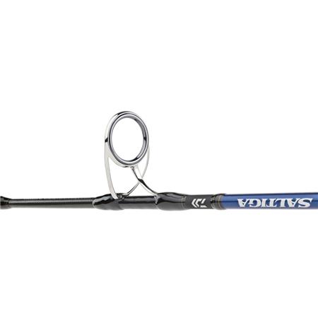 ΚΑΛΆΜΙ DAIWA SALTIGA JIGGING