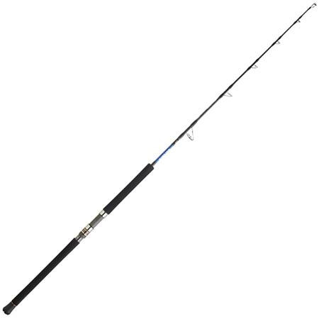 Καλάμι Daiwa Saltiga Jigging