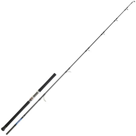 Καλάμι Daiwa Saltiga