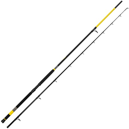 Καλάμι Για Γατόψαρο Black Cat Perfect Passion X Bank Rods