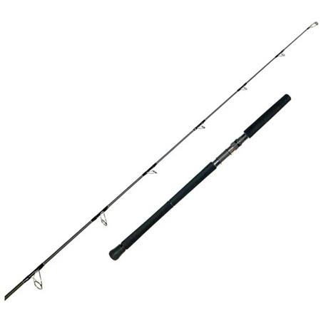 Καλάμι Graphiteleader Protone Boat