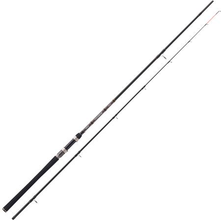 Καλάμι Spinning Balzer Diabolo Fury Flatfish