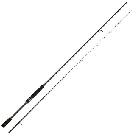 Καλάμι Spinning Daiwa Bg Rf