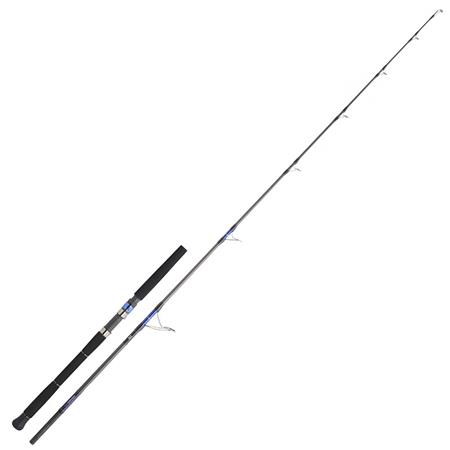 Καλάμι Spinning Daiwa Saltiga Spinning
