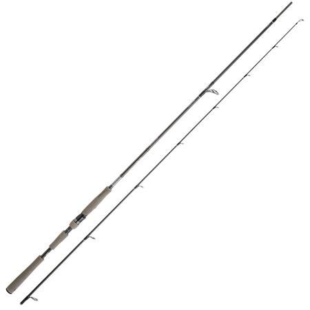 Καλάμι Spinning Daiwa Saltist Ags Iii Seabass Edition