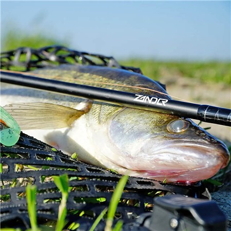 KESCHER ZECK ZANDER SCHEPPKELLE