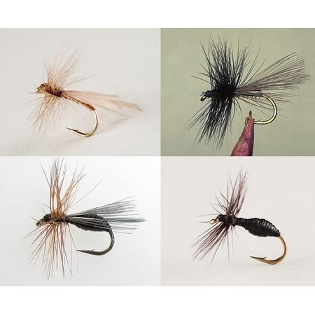 Kit De 4 Moscas Devaux Fourmis