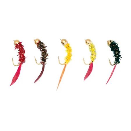 Kit De 5 Mouches Stucki Fishing Nymphe Goldhead F.