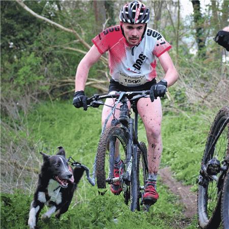 KORTE BROEK VOOR MANNEN I-DOG RIPSTRETCH DRY RAIDLIGHT - BLANC