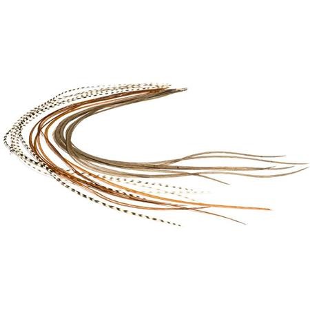 Lancet Devaux Dvx Xs Top Quality - Pack Of 6