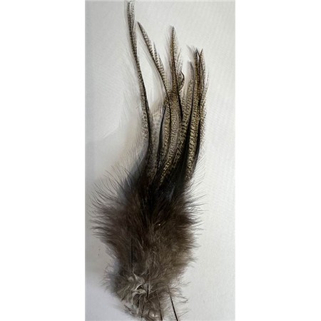 Lancettes Vesuna Pardo Grade 1