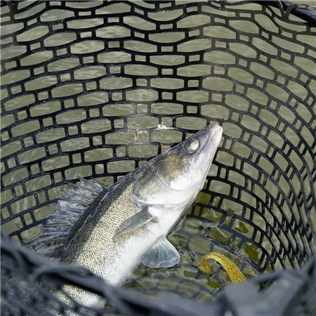 LANDING NET ZECK ZANDER SCHEPPKELLE