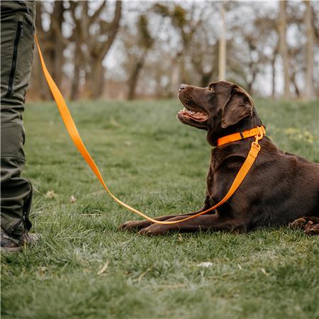 LASS DEN HUND EUROHUNT ENTRAINEMENT HP&G AVEC DEUX MOUSQUETONS