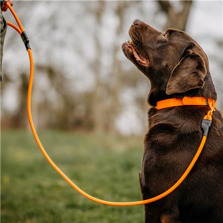 LASS DEN HUND EUROHUNT ÉTANCHE HP&G AVEC MOUSQUETON