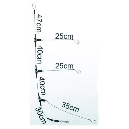 Leader Asari Competition