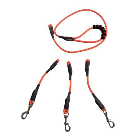 LEASH COMFORT ROG TRACK + ANNEAU INTELLIGENT