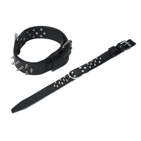 Leather Spiked  Dog Collar