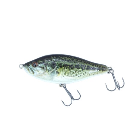 Leurre Coulant Biwaa Raffal 4 - 10Cm - Roach