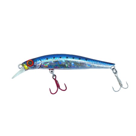 Leurre Coulant Jackson Artist Fr70 - 7Cm - Lym