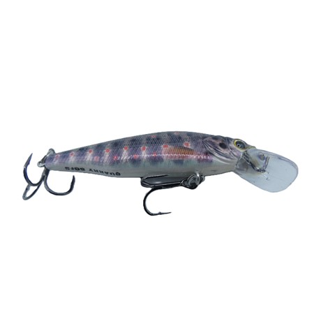 Leurre Coulant Stucki Fishing Fanatics Quarry 60Fs - 6Cm - Trj