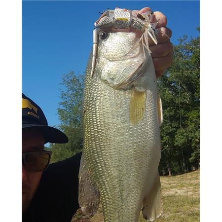 LEURRE FLOTTANT CHASEBAITS FRILLSEEKER 175 - 17.5CM