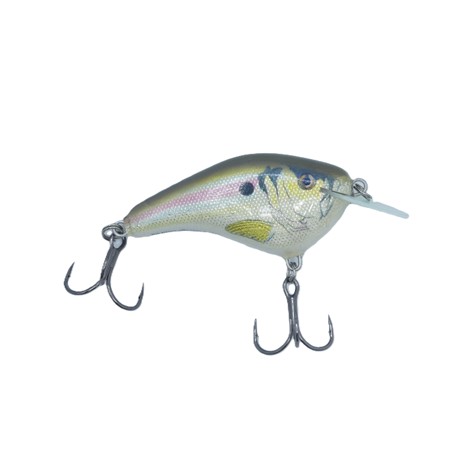 Leurre Flottant Rapala Ott’S Garage Slim - 7Cm - Big Shad