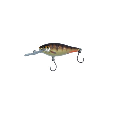 Leurre Flottant Rapala Shad Rap Elite - 5.5Cm - Gdcp