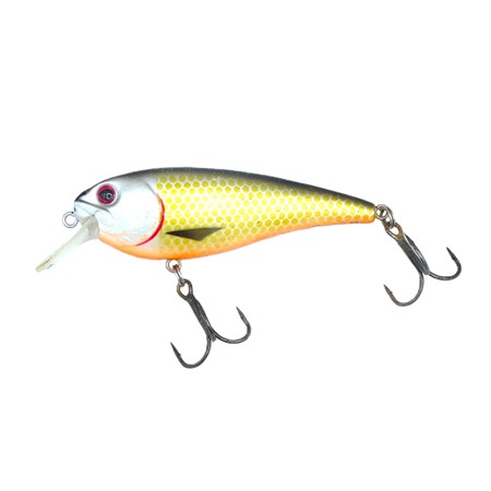 Leurre Flottant Westin Raw Bite - 7Cm - Official Roach