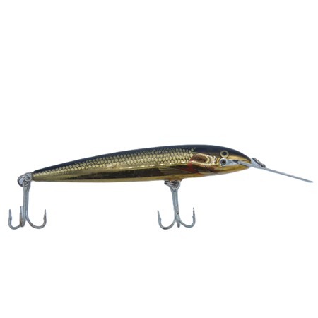 Leurre Plongeant Rapala Countdown Magnum - 22Cm - Rh