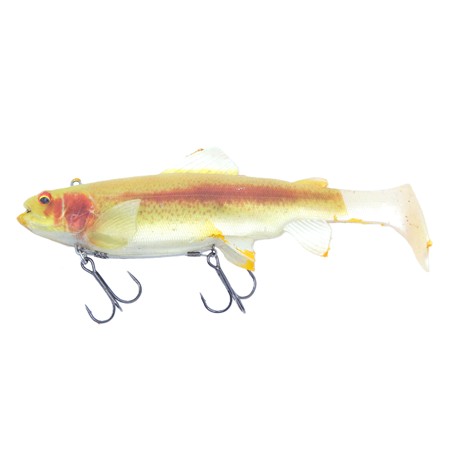 Leurre Souple Arme Daiwa Prorex Live Trout Swimbait - 18Cm - Live Gold Trout