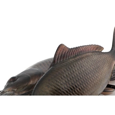 LEURRE SOUPLE ARMÉ FOX RAGE ULTRA-REALISTIC COMMON CARP REPLICANT