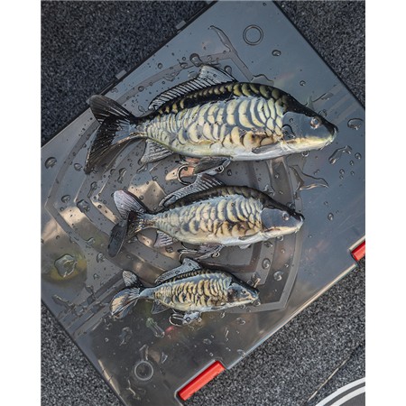 LEURRE SOUPLE ARMÉ FOX RAGE ULTRA-REALISTIC MIRROR CARP REPLICANT