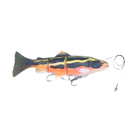 Leurre Souple Arme Savage Gear 3D Line Thru Trout - Modele Japon - 01 - 15Cm