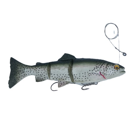 Leurre Souple Arme Savage Gear 3D Trout Line Thru Swim Bait Ss - Rainbow - 20Cm