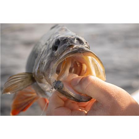 LEURRE SOUPLE FOX RAGE SCENT SHAD - 9CM