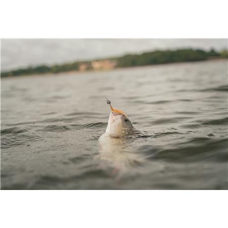 LEURRE SOUPLE FOX RAGE SCENT SHAD - 9CM