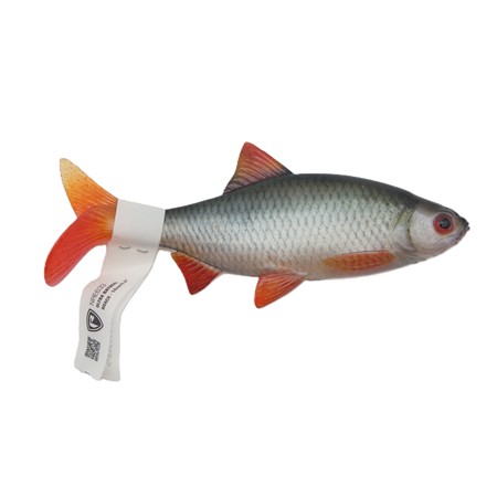 Leurre Souple Fox Rage Ultra Natural Roach - 14Cm