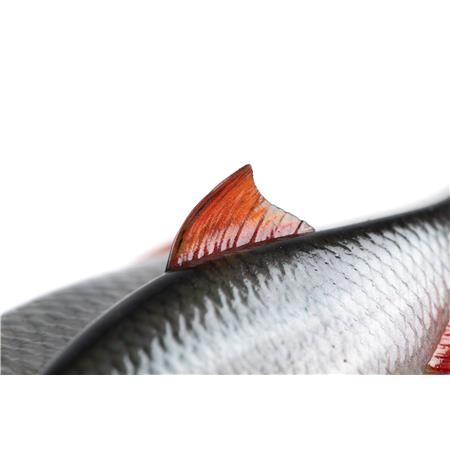 LEURRE SOUPLE FOX RAGE ULTRA NATURAL ROACH