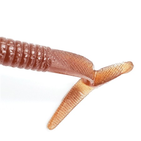 LEURRE SOUPLE KAESU KIRIKAKE -11.9 CM