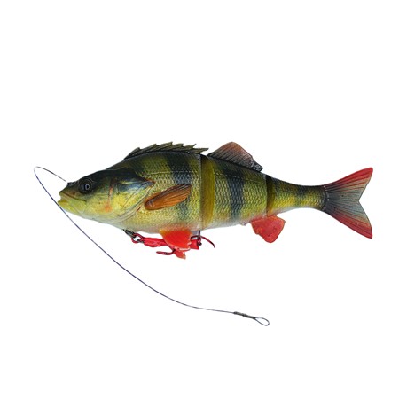 Leurre Souple Savage Gear 4D Line Thru Pulse Tail Roach - 23Cm - Roach
