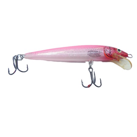 Leurre Suspending Rapala Husky Jerk - 10Cm - Cln