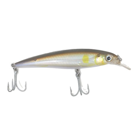 Leurre Suspending Rapala Saltwater X-Rap - 10Cm - Sbsc