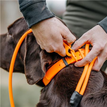 LIJN HOND EUROHUNT ÉTANCHE HP&G AVEC MOUSQUETON